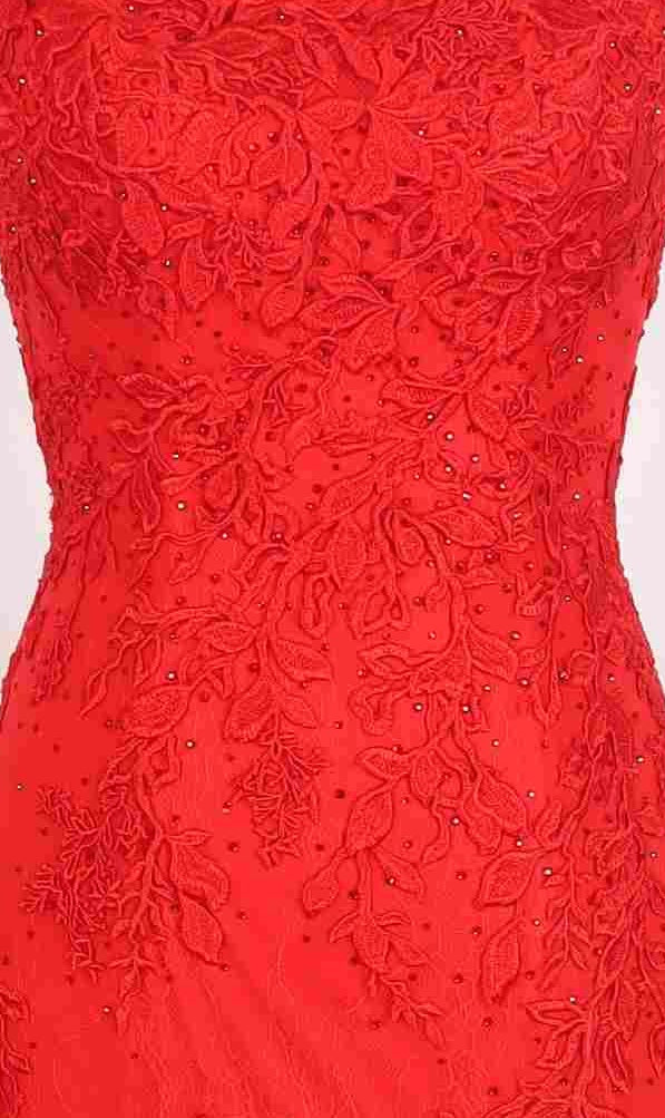 Close-up of the PromGirl Exclusive 250226: a long red prom dress with a train, detailed floral lace applique embroidery, and small bead accents.